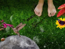 Imagen Cabecera Actuar por lo vivo