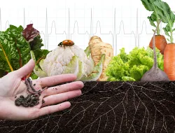 Imagen cabecera Abrazar la tierra y sanarnos juntos