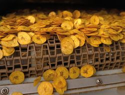 Imagen > Urabá mira al futuro con nuevos mercados