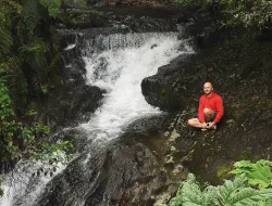 Imagen Plantas de compañía