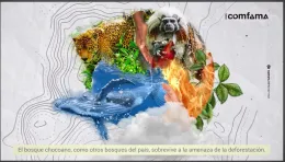 Imagen header Empresa y ancestralidad en armonía con la naturaleza - Que Viva lo Vivo