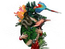 Imagen cabecera Los ecosistemas estamos vivos y tenemos derechos