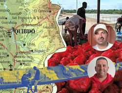 La carretera se acabó, la red no