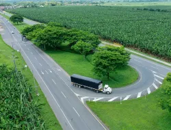 Imagen El mejor lugar para nuevos inversionistas