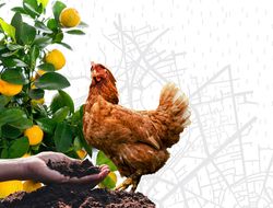 Imagen cabecera Vivir en la regeneración y hacer que sea una decisión